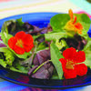 Add a bit of color and interest to salads with edible flowers like nasturtium.
