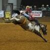 Nationals bound

Kolt Dement of Rusk, will be representing Panola College this week at the College National Finals Rodeo held in Casper, Wyoming. Dement is a freshmen member of the Panola Men’s Team who recently won the Southern Region Bareback Championship. 

Courtesy photo