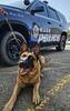 K9 Officer Ubo in front of patrol unit, photo courtesy of Rusk Police Department