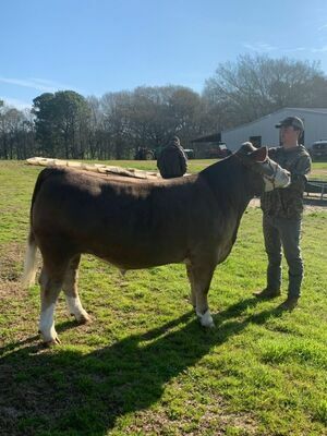 Courtesy photo
Jacksonville FFA member Brantley Bauer spends some quality time with his steer, Rocket. Rocket was the topic of an essay Bauer wrote and entered into the Houston Calf Scramble Breed Essay Contest earlier this year.